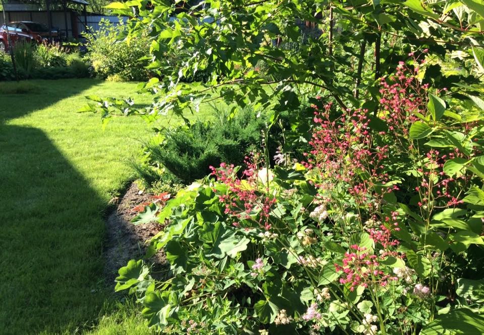 САДИК НА ЛАДОШКЕ (АЛЕНЬКИЙ ЦВЕТОЧЕК)