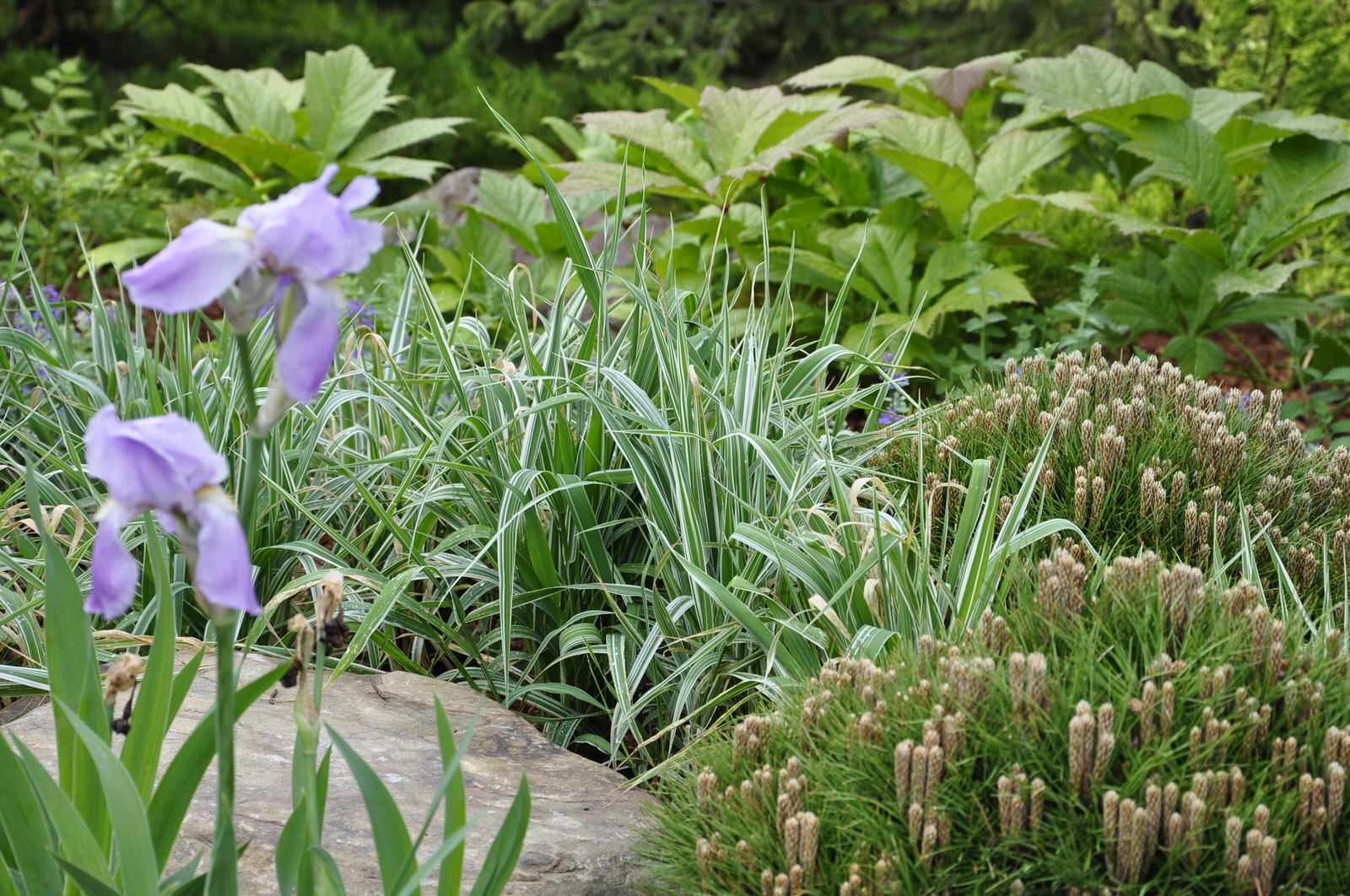 кп "Папушево" - Профессиональный уход за садом - 100% качество!