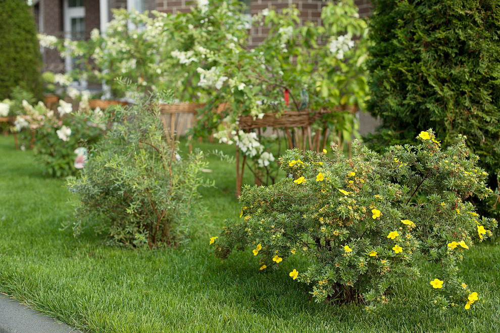 Вавиловец 1