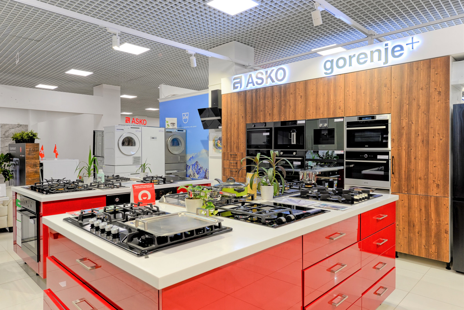 Салон Техномульт , МЦ