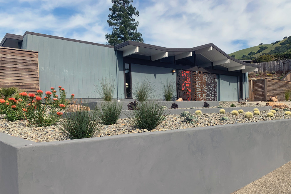 This is an example of a large and desert look midcentury front yard full sun xeriscape for spring in San Francisco with gravel.