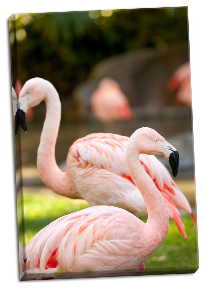 Fine Art Photograph, Flamingos II, Hand-Stretched Canvas