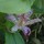 christine_stafford4075801
