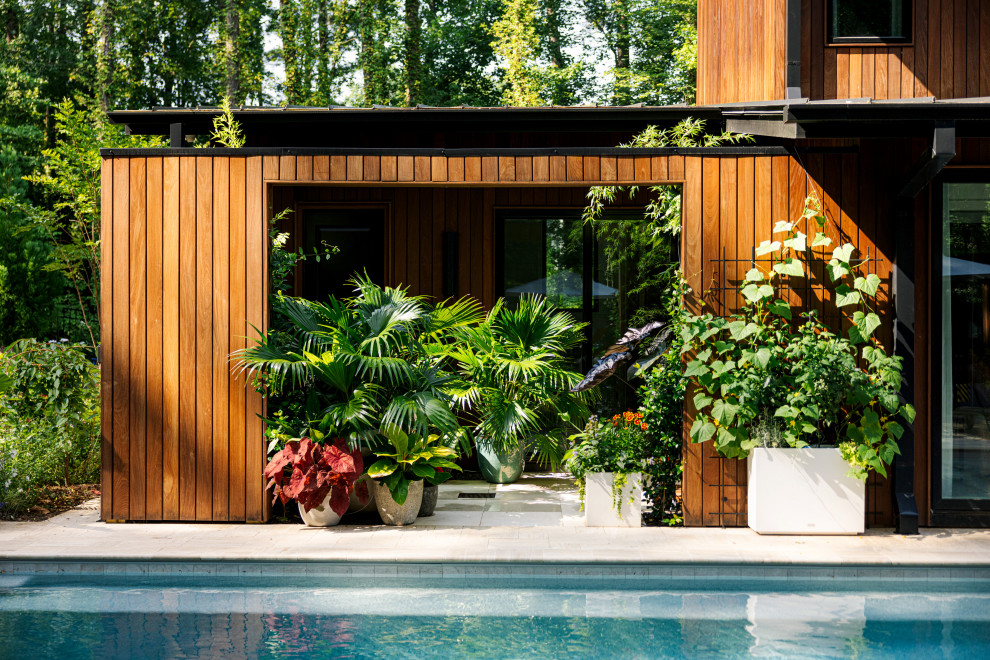 Example of a transitional shed design in Raleigh