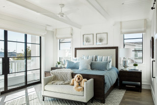 How to Keep Your Pet Calm and Carrying On During Fireworks (10 photos)