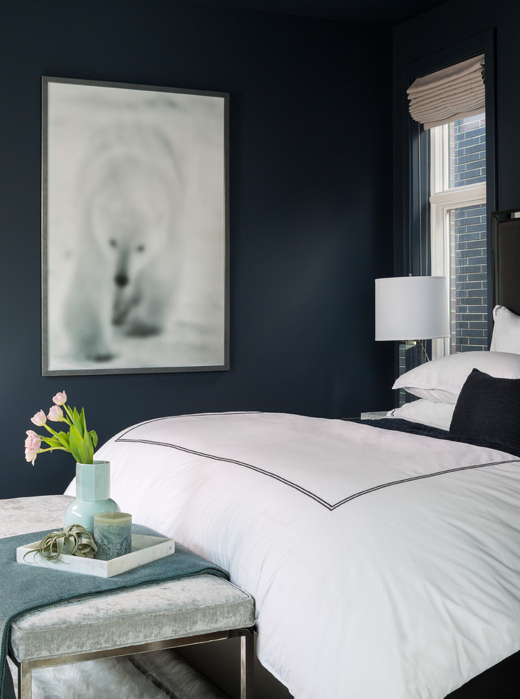 Design ideas for a transitional bedroom in Chicago with blue walls.