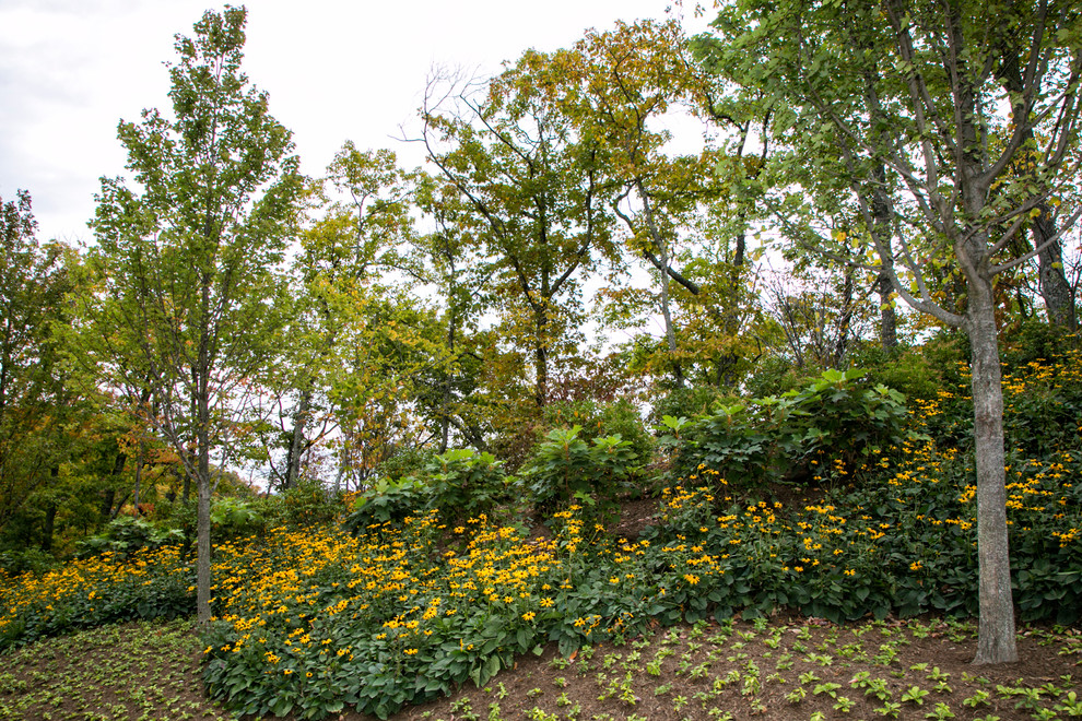 Mountain Estate | The Greenbrier Resort, West Virginia
