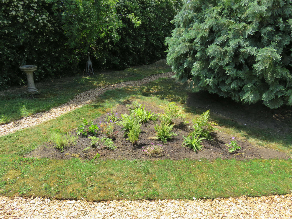 Back Garden, Newmarket
