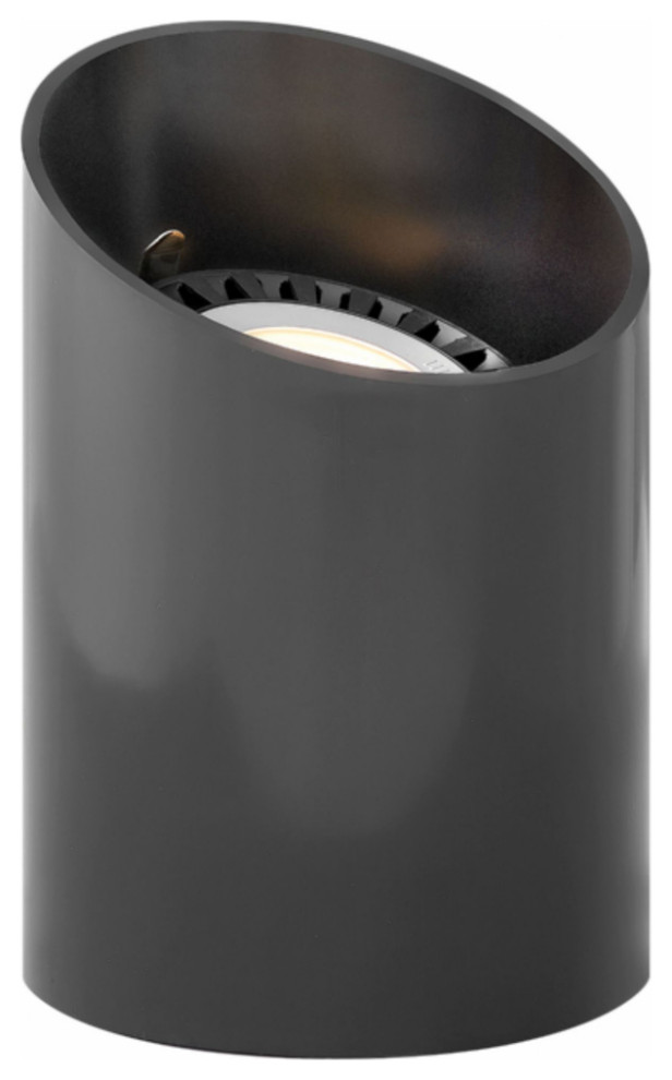 Well Light 1Light Landscape Accent Light in Black Landscape Lighting