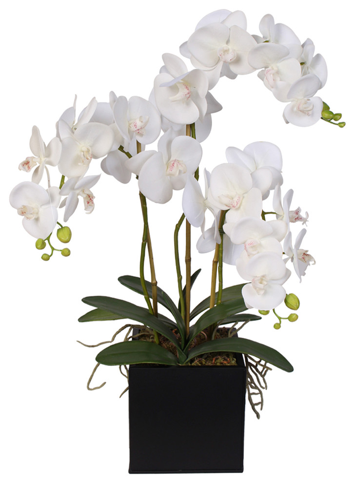 where to buy artificial orchids