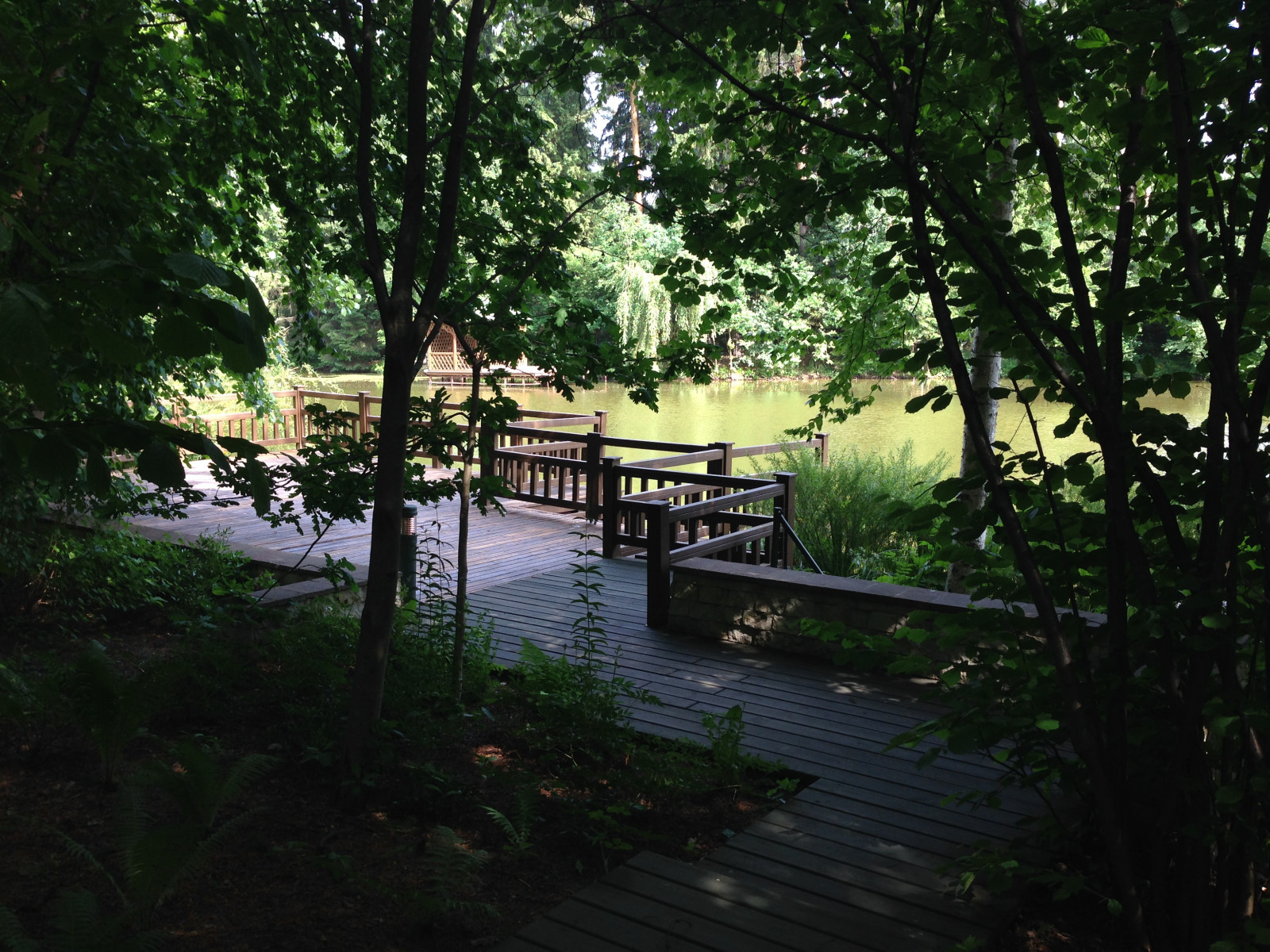 Сад «Лебединое озеро»