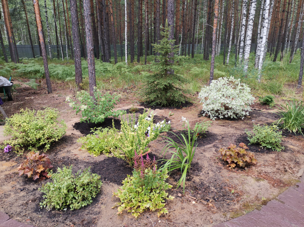 Лесная сказка Марий Эл. Сад в стиле Naturgarden
