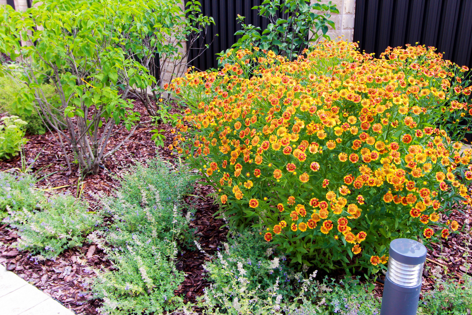 Павлово-2, 2022-2024 г.г.