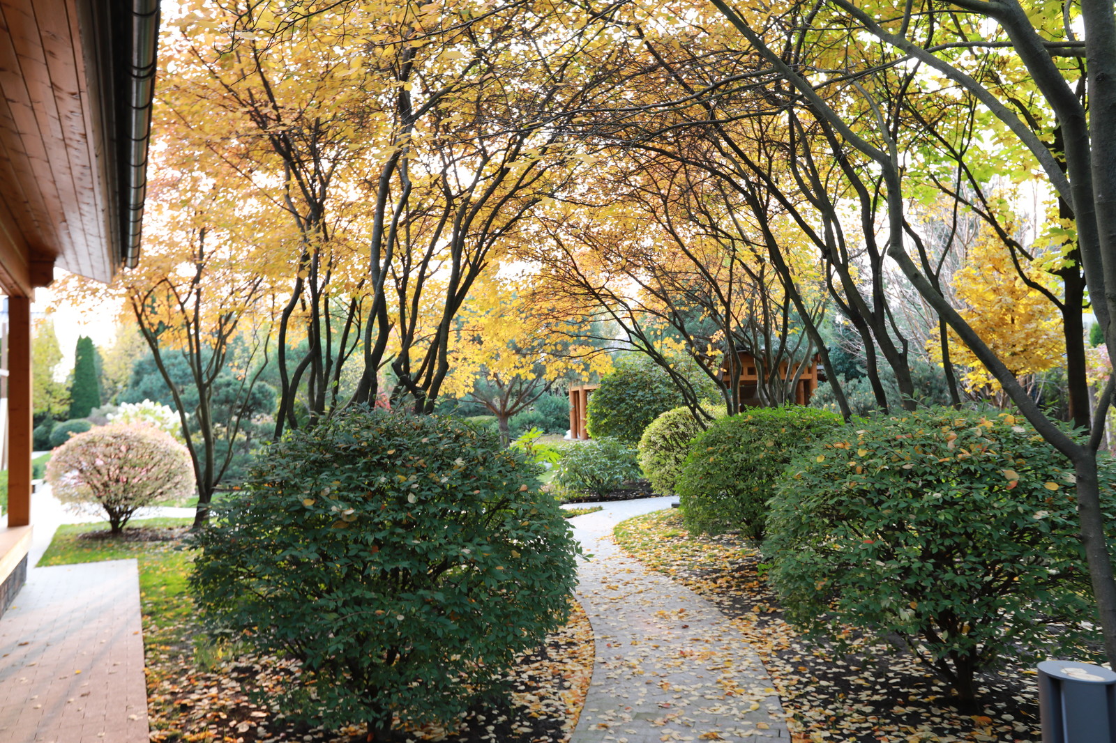 Современный взгляд на классику