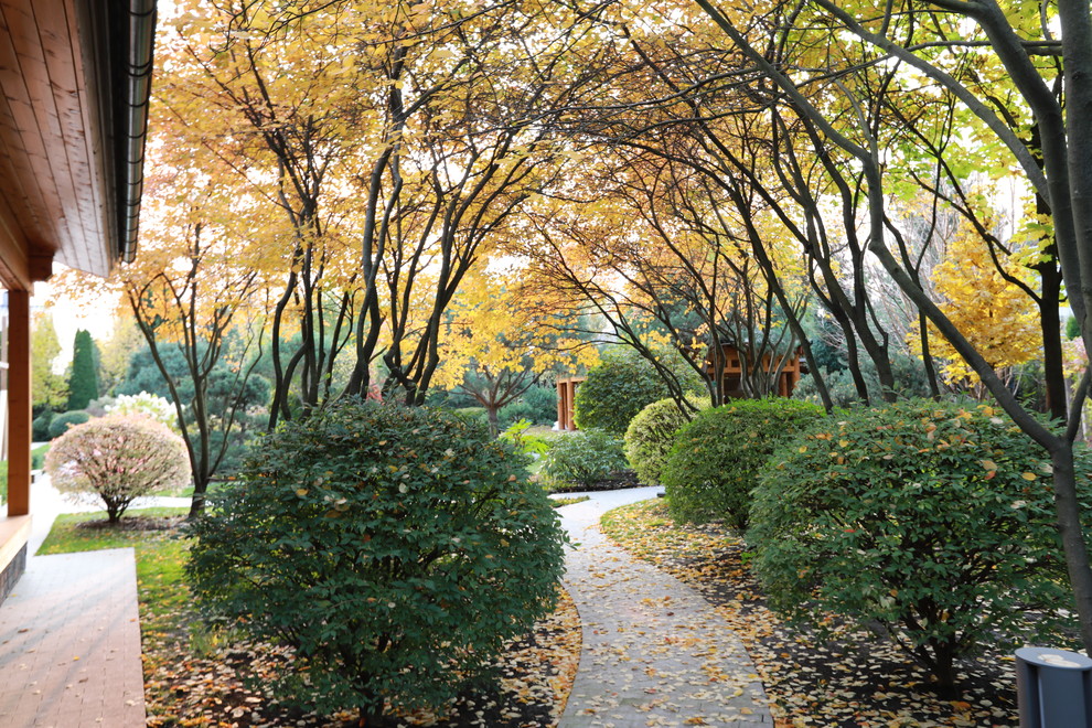 Современный взгляд на классику