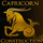 Capricorn Construction