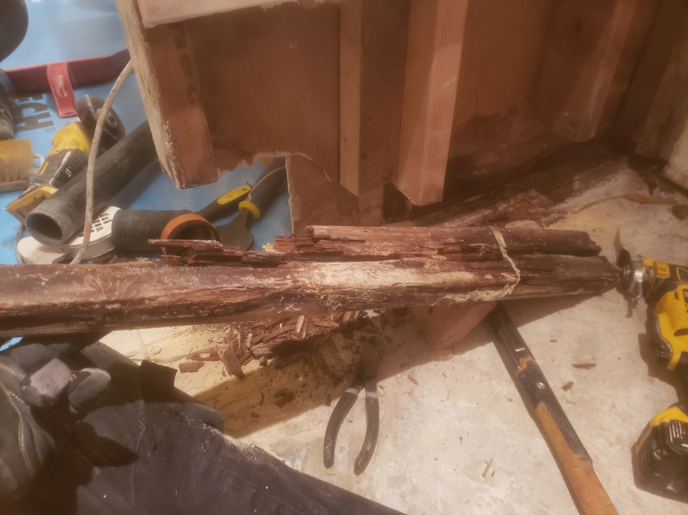 Shower Remediation (Budget Emerg)