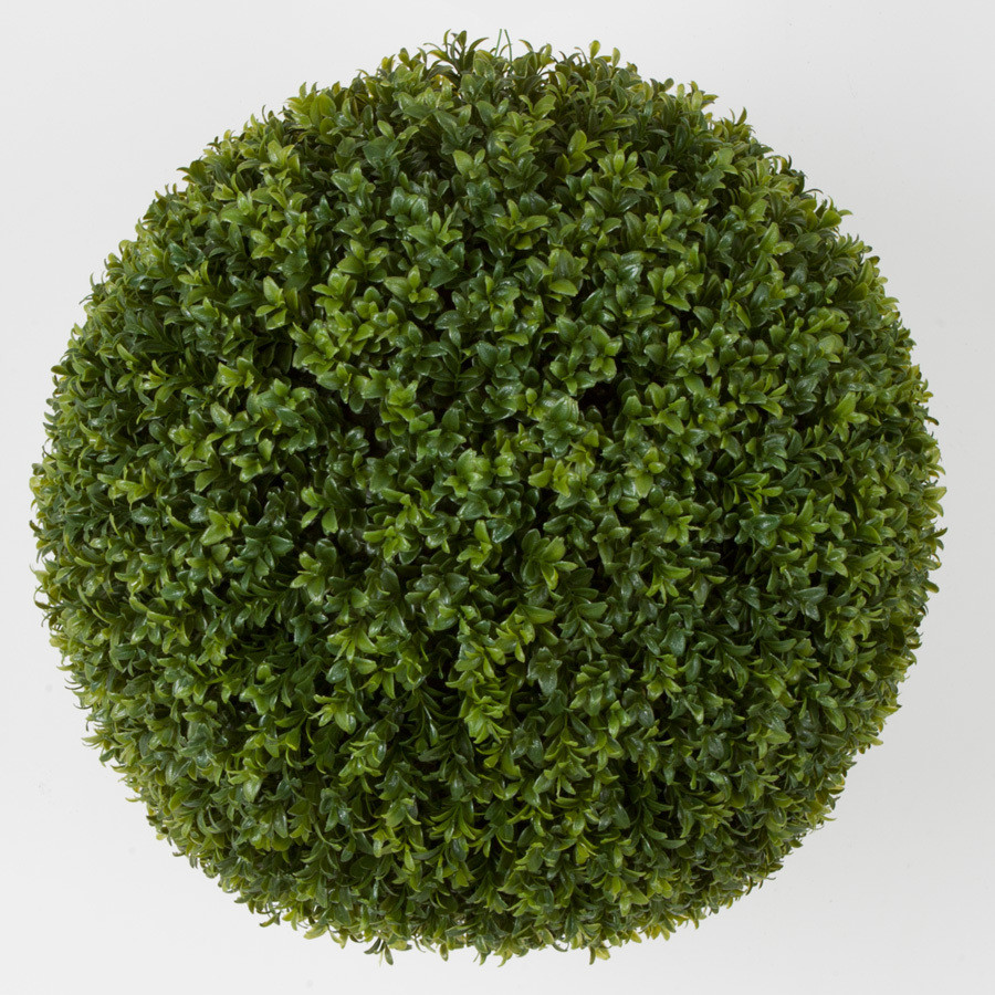 FA_BOXWOOD GLOBE 20_121