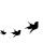 3birdy