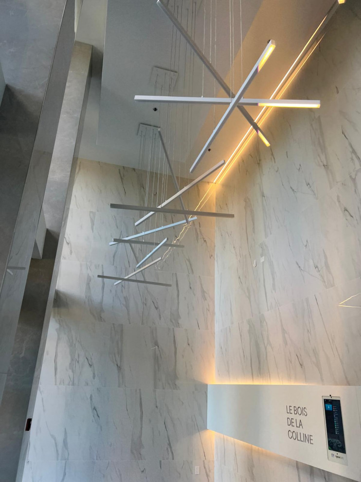 Commercial Project- Vestibule Reno