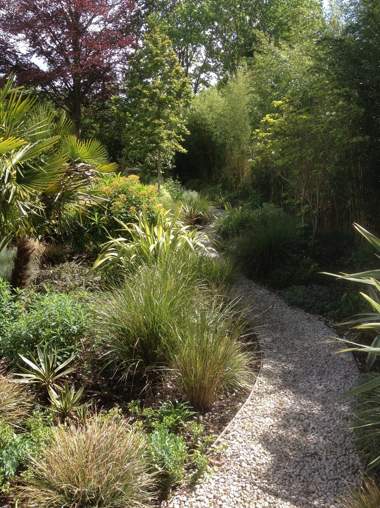Photo of a contemporary garden in Devon.