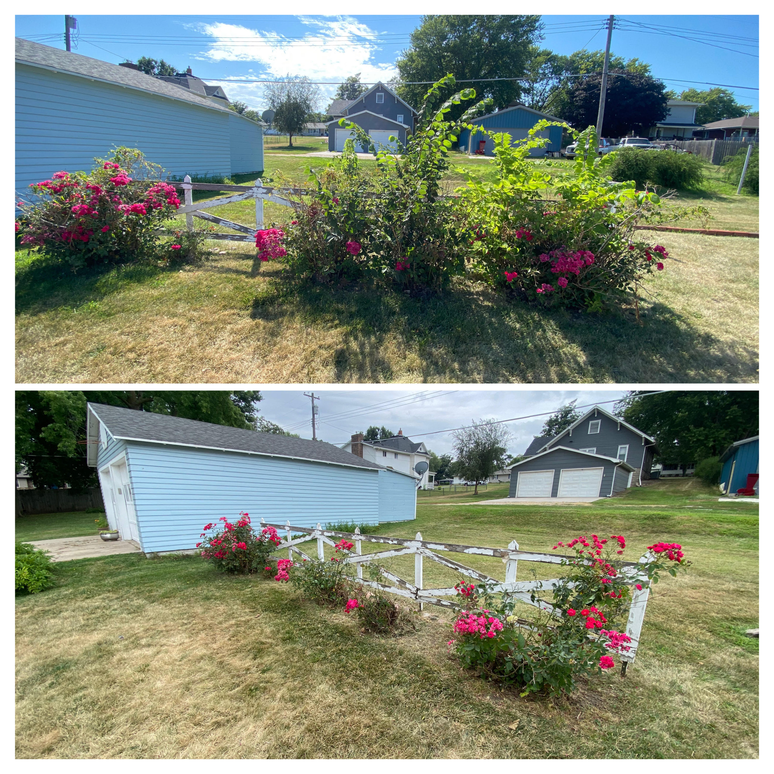 Mowing & Cleanup 2