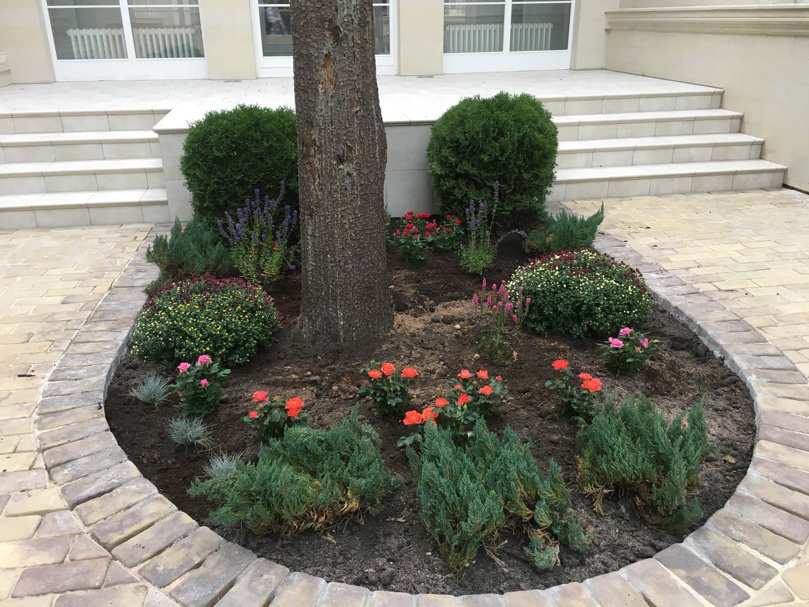 Проект Грибово