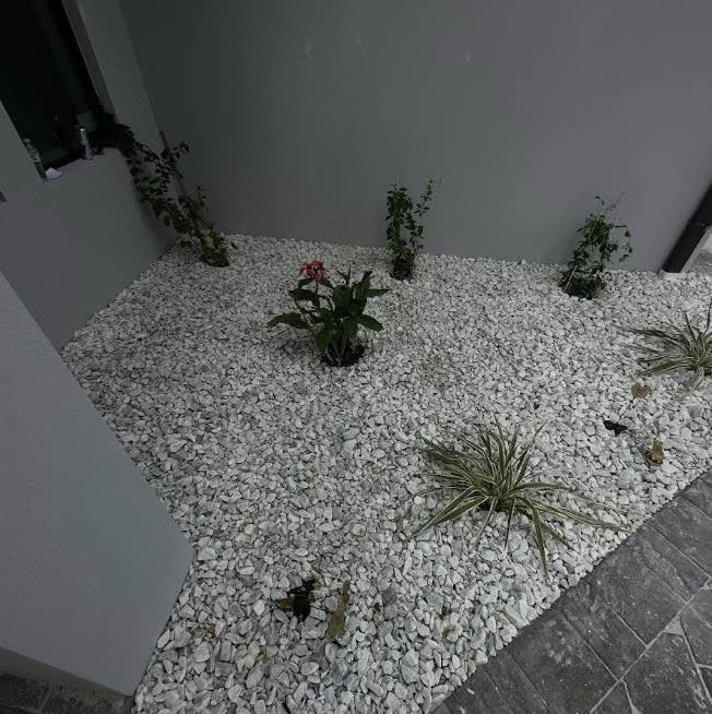 Project Photos