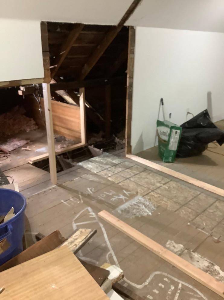 Whole Home Renovation