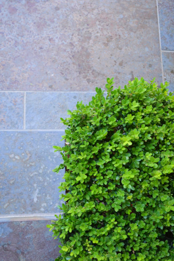 Nook Street contemporary-courtyard