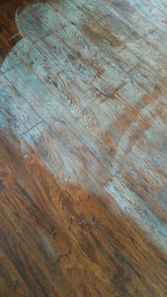 Accidentally bleached dark vinyl flooring - Help!