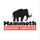 Mammoth Roofing Services
