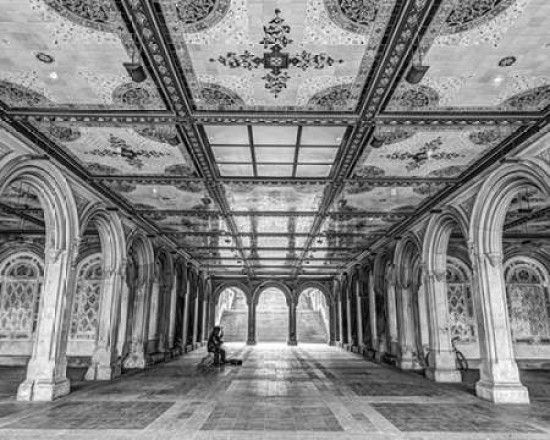 Bethesda Terrace Central Park New York City photo 8x10 print