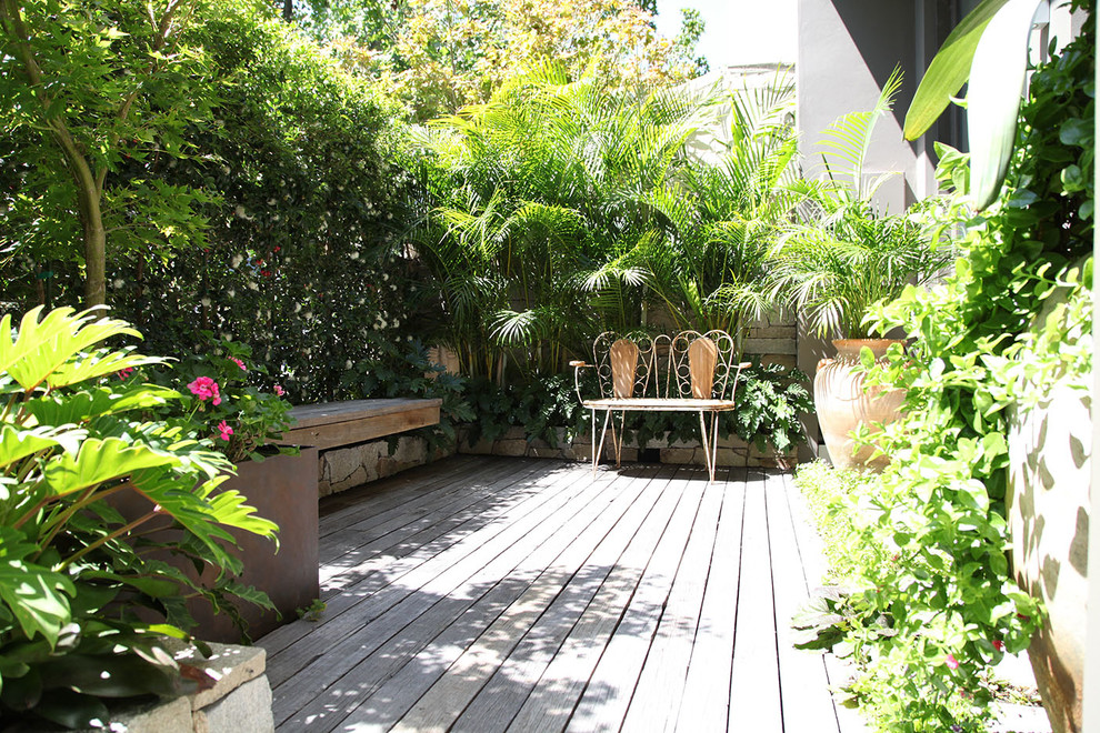 Design ideas for a contemporary deck in Sydney with a container garden and no cover.