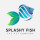 online tropical fish store - Splashy Fish Store