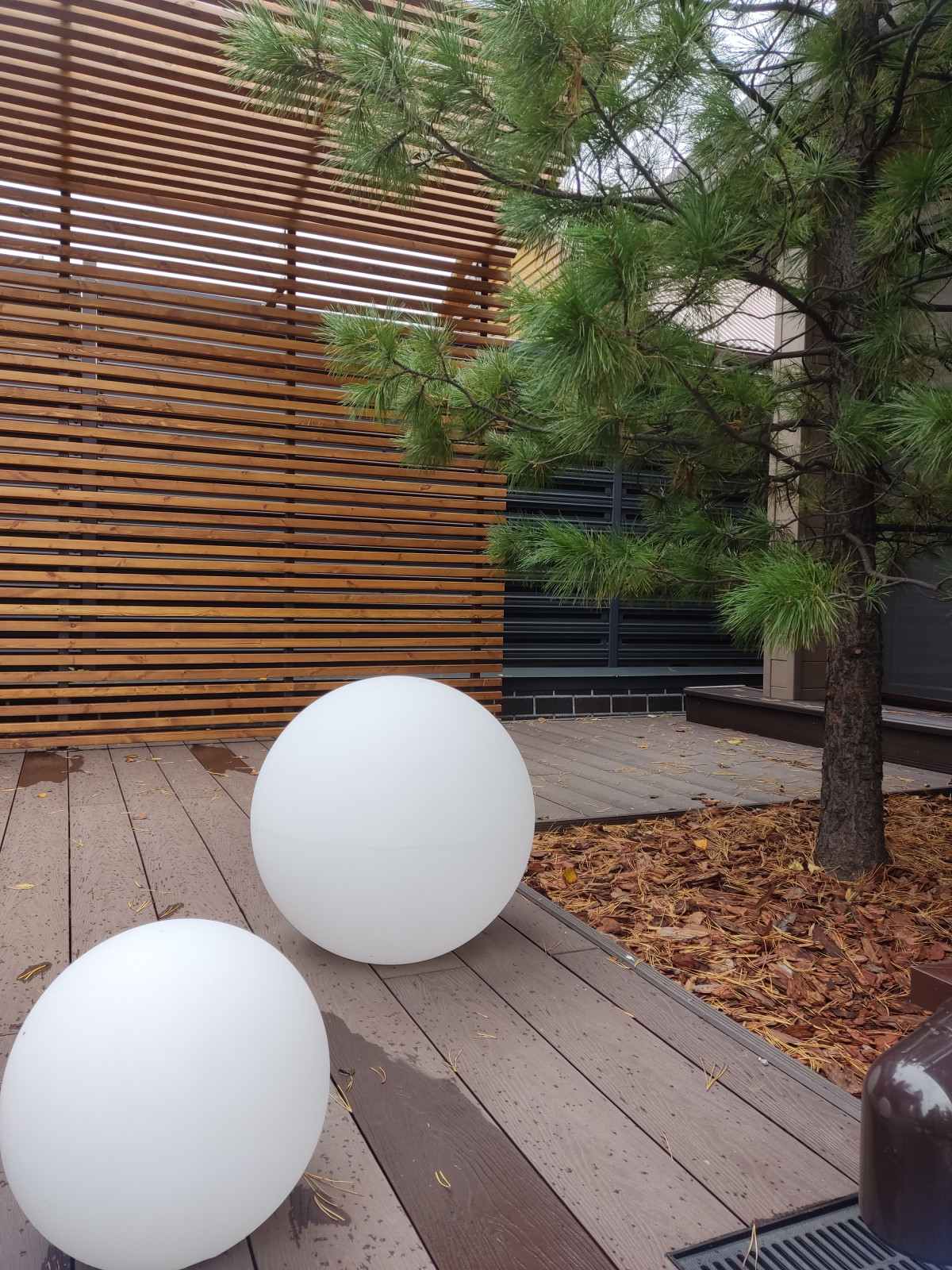 Денис Светлый Яр