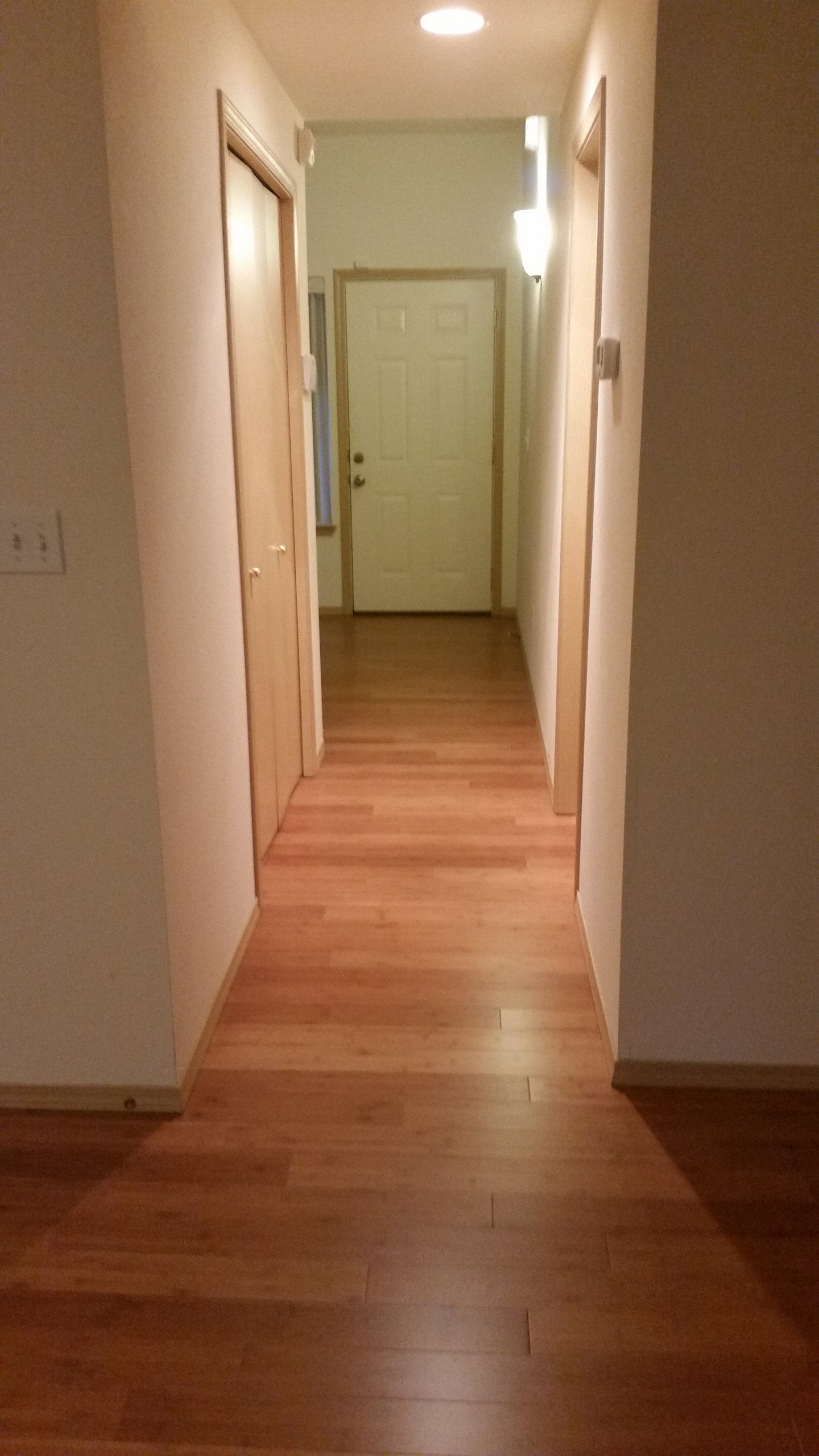 Bamboo for a Rental