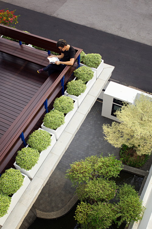 Contemporary Urban Garden Design | See More...