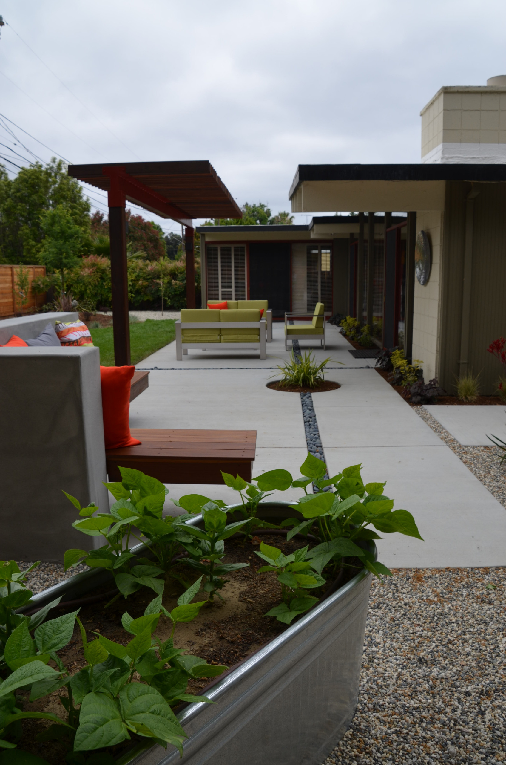 Willow Glen Eichler