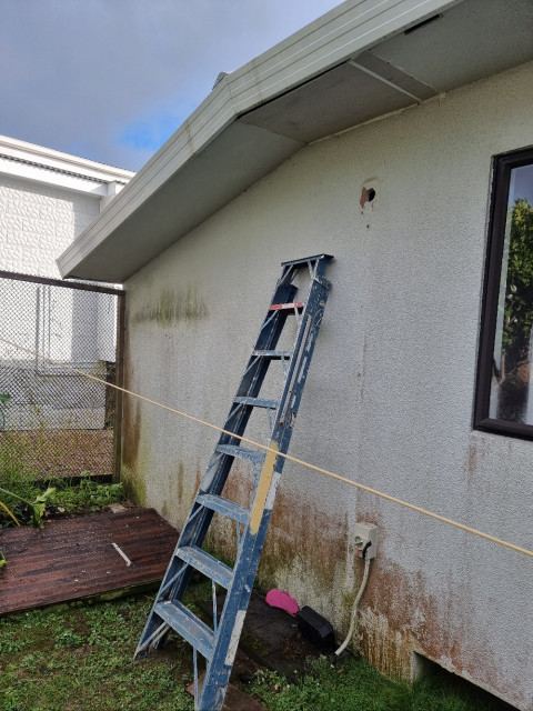 Glen Eden Modern Extension 