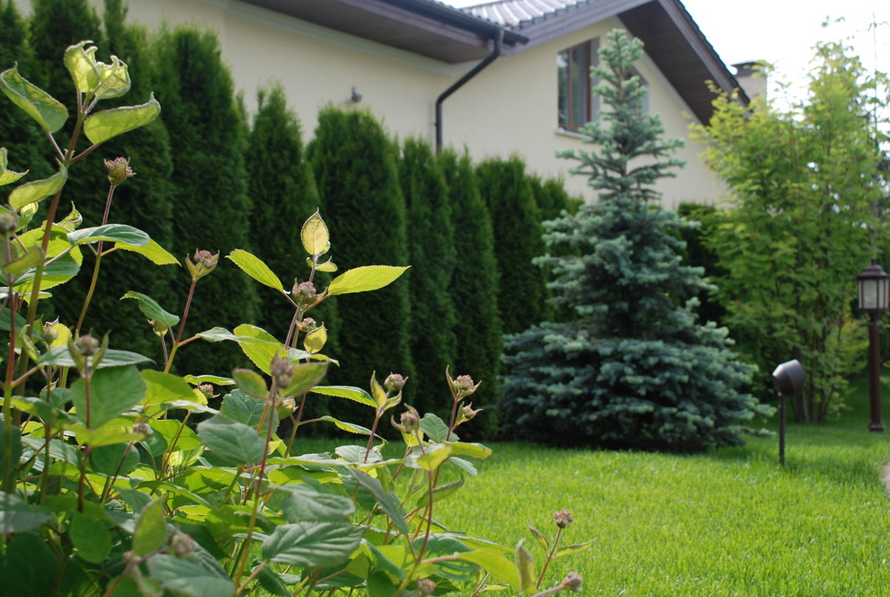 Сад в КП Миллениум Парк