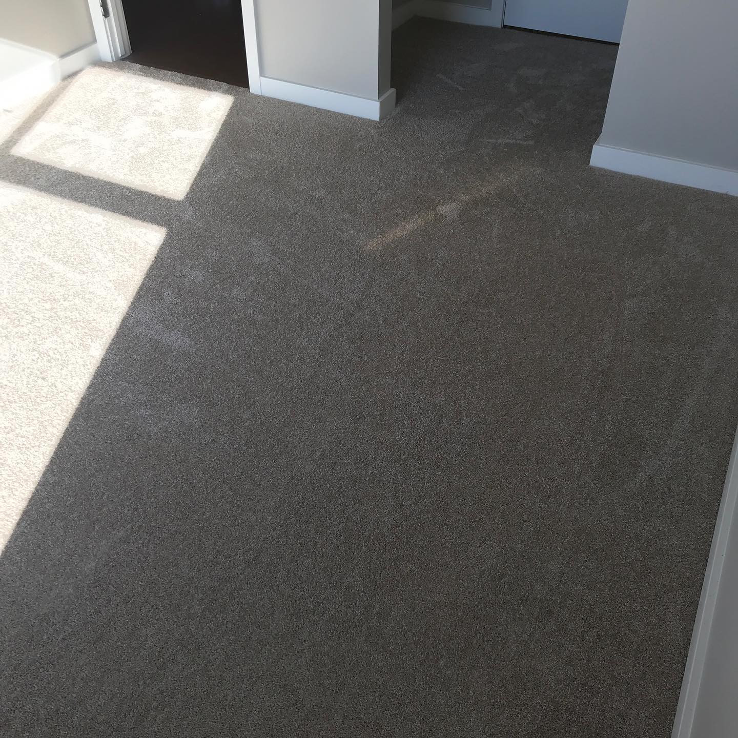 Carpet