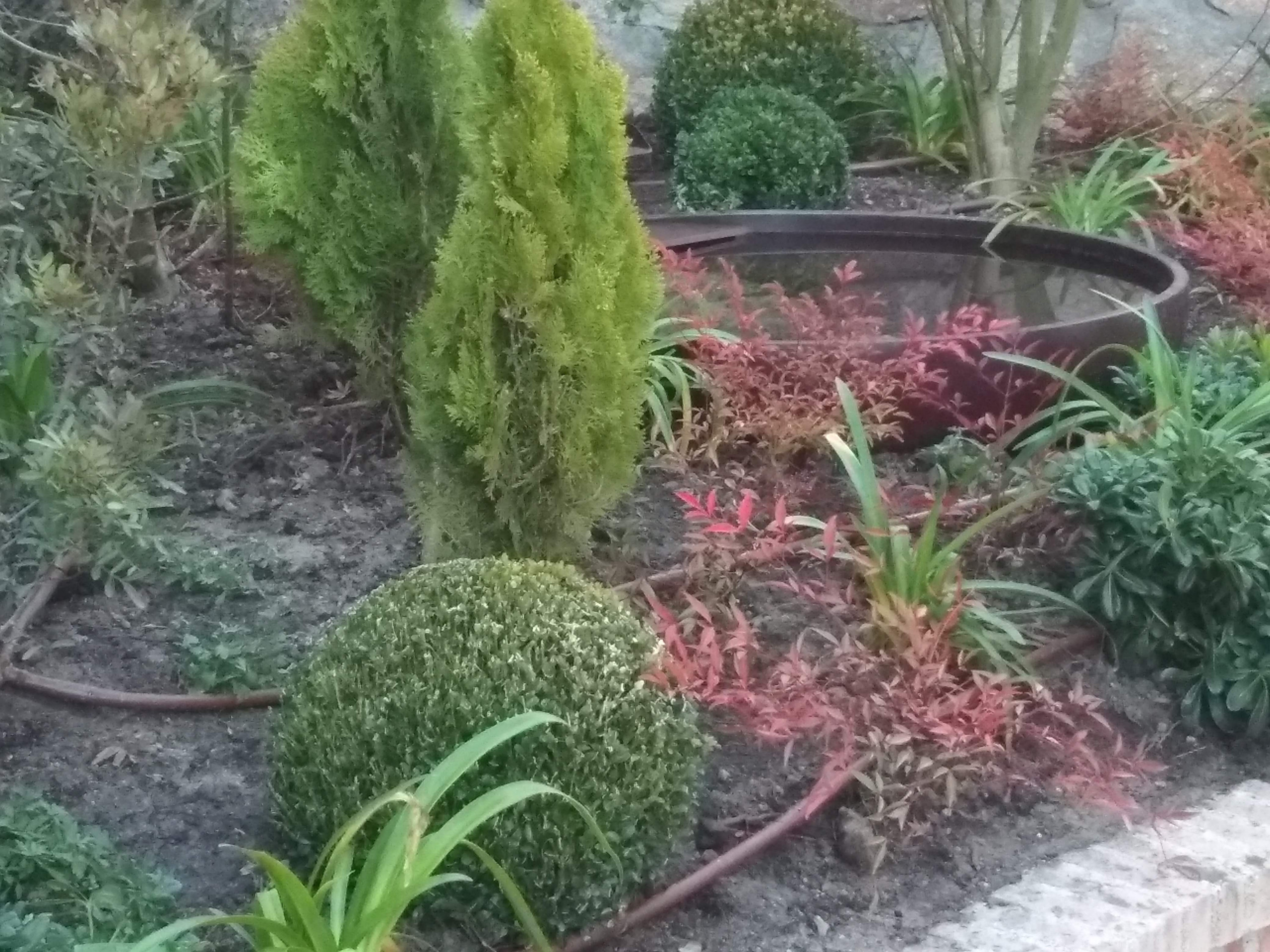 Dando color a viejos jardines