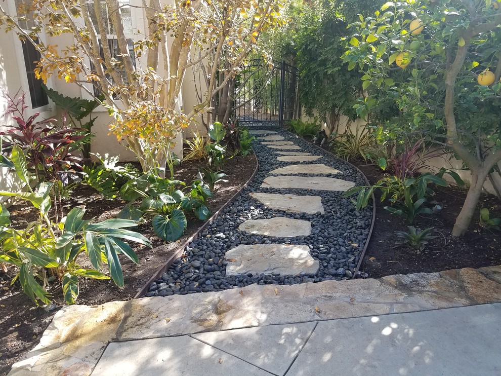 Photo of a mid-sized transitional side yard garden in Orange County.