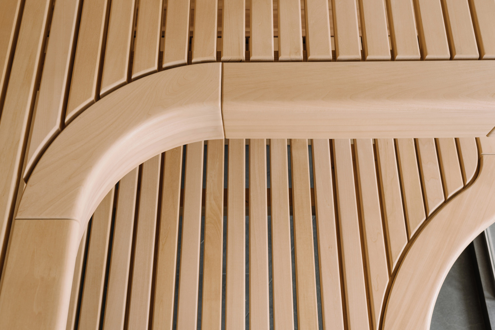 Плавные формы сауны