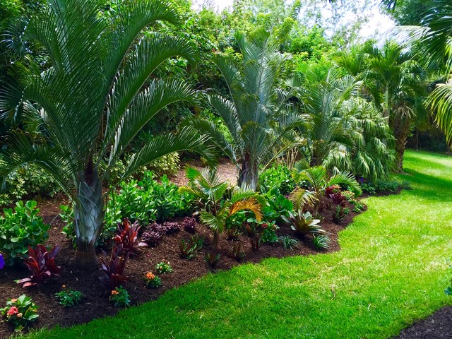 Tropical Front Backyard Landscapes Palms Color Tropical