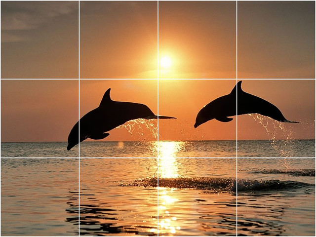 Dolphin Picture Wall Back Splash Tile Mural 1485, 24"x18"