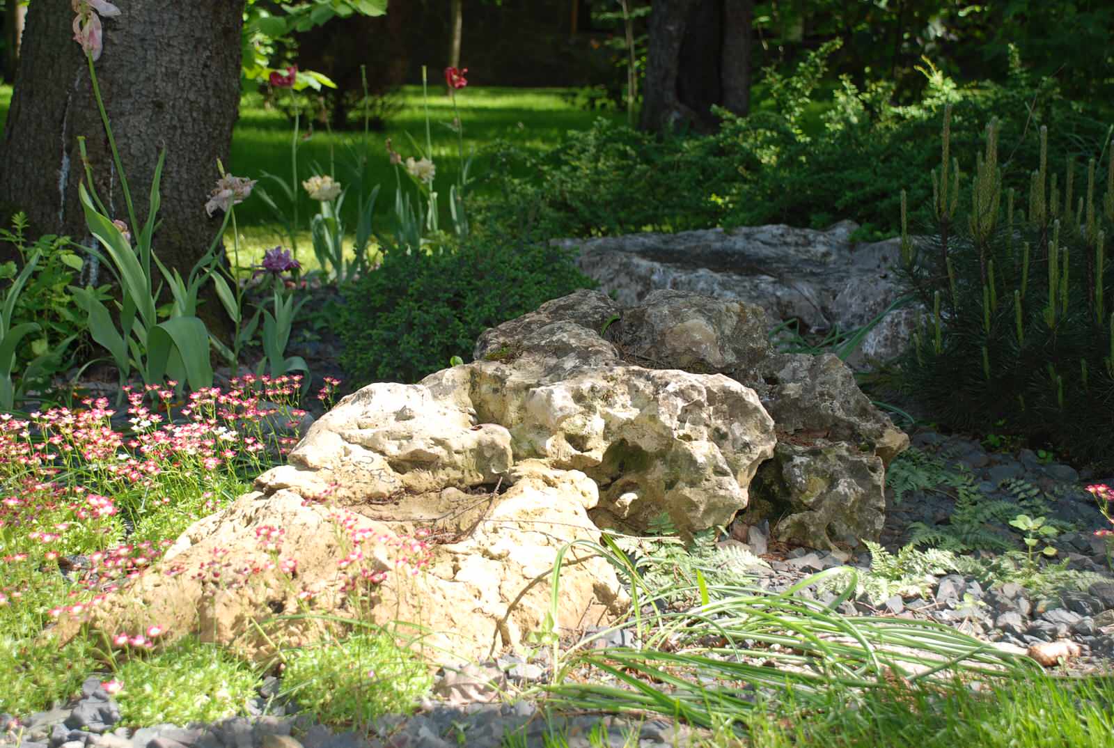 Успенское шоссе РИИТА