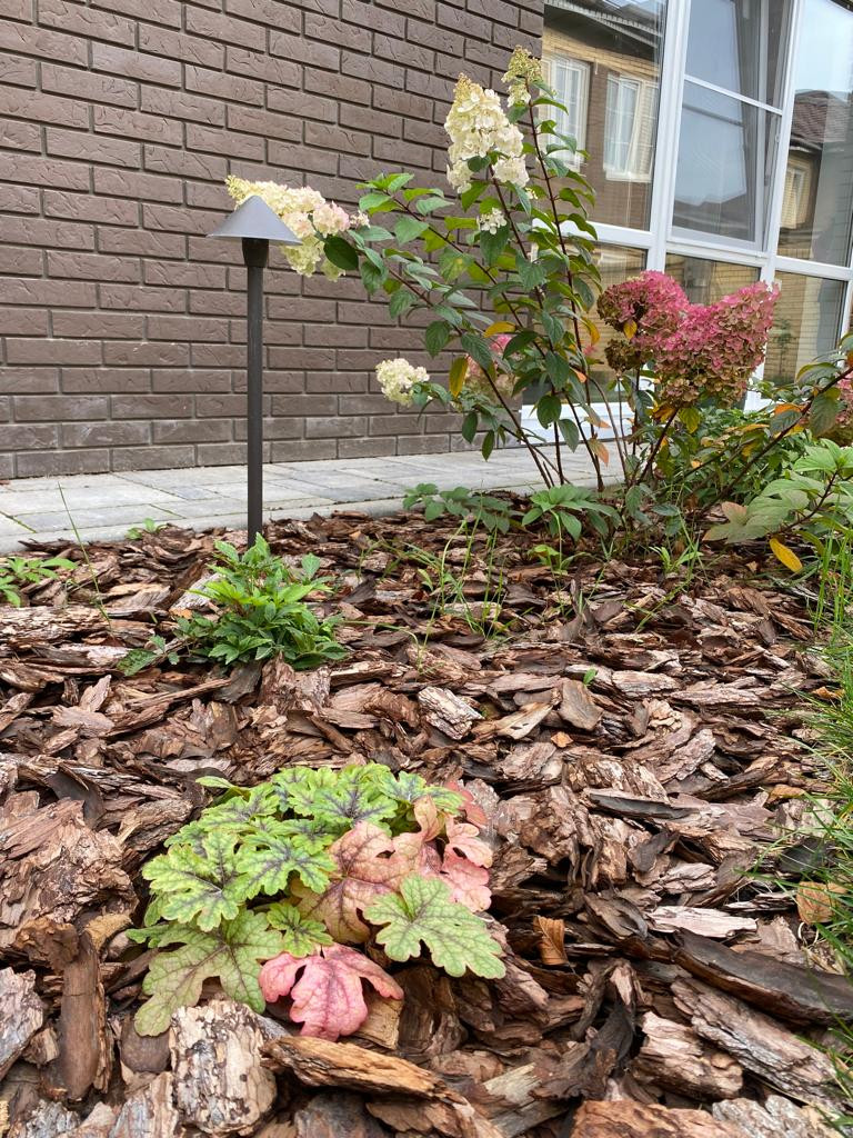 сад в ЖК "Велит"