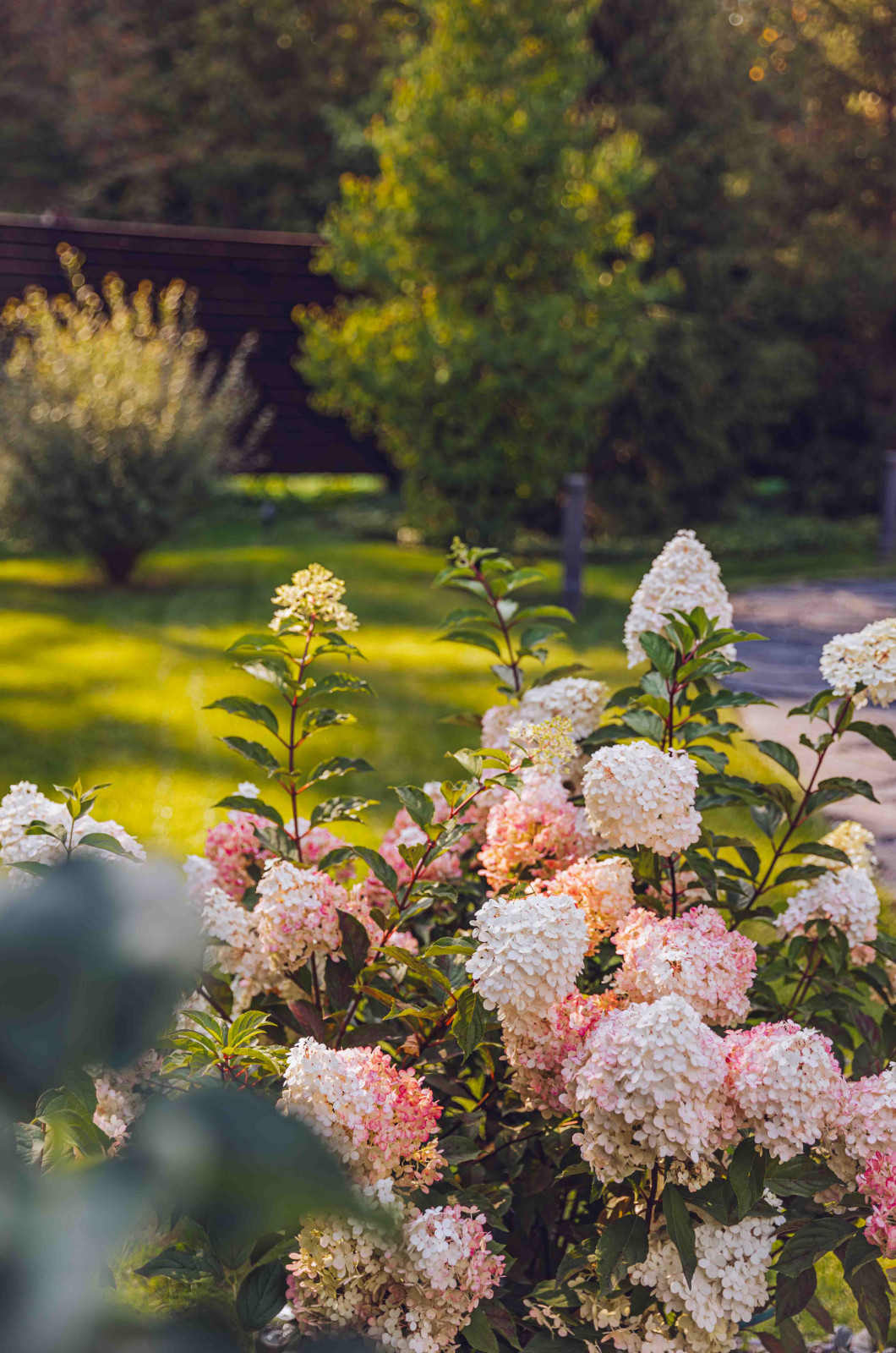 Архитектурное Решение в Пейзажном Стиле